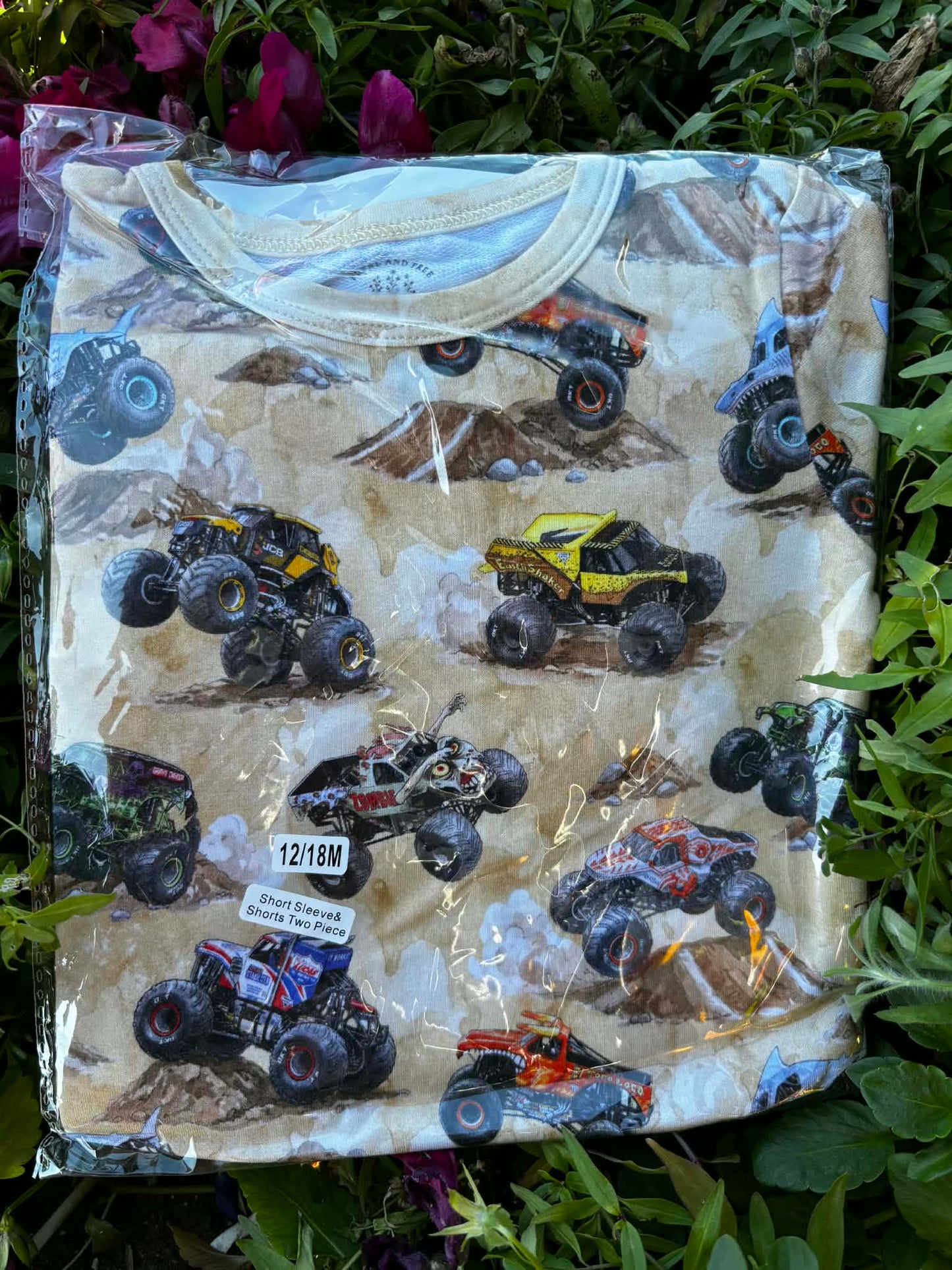 Monster Trucks FT short set