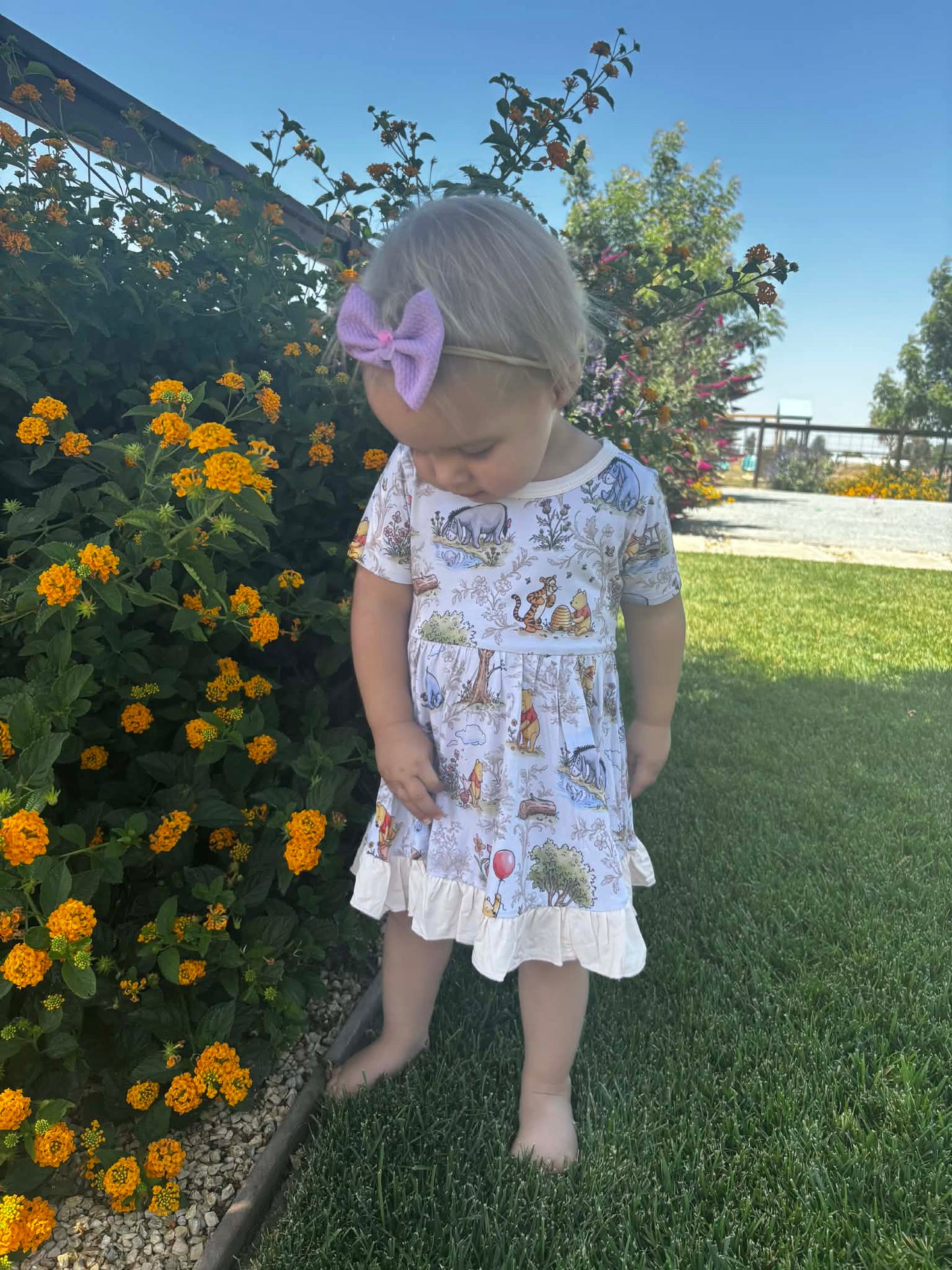 Sweet As Honey Twirl Dress